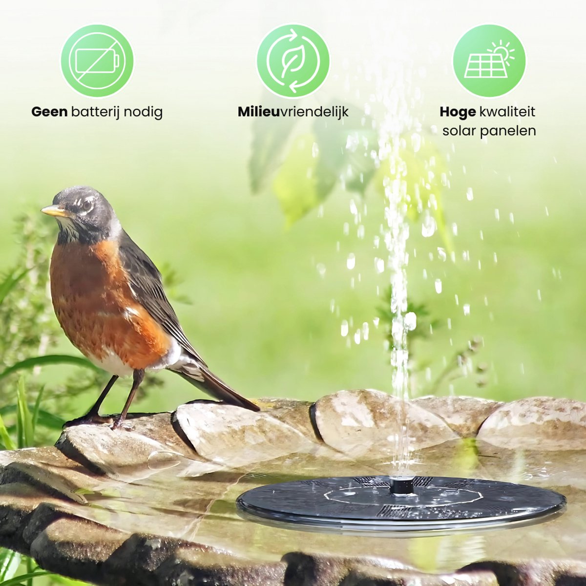 Een roodborstje zit op een vogelbadje met een spuitende zonnepaneelfontein. "Hoge kwaliteit solar panelen".
