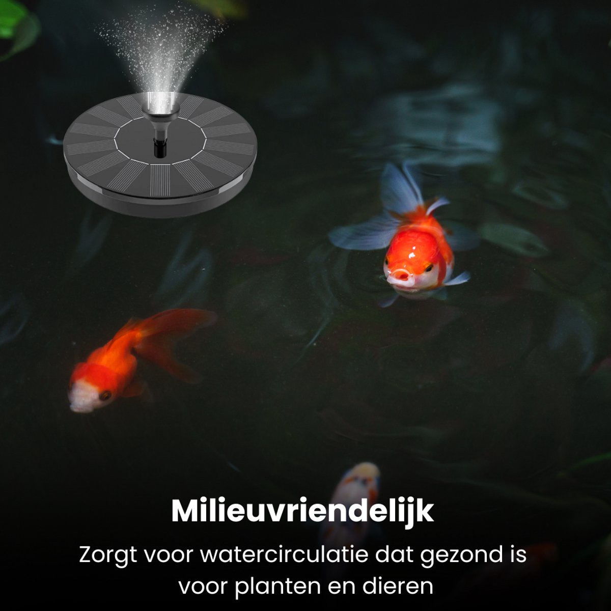 Een zonnepaneelfontein sproeit water in een vijver met goudvissen. "Milieuvriendelijk".