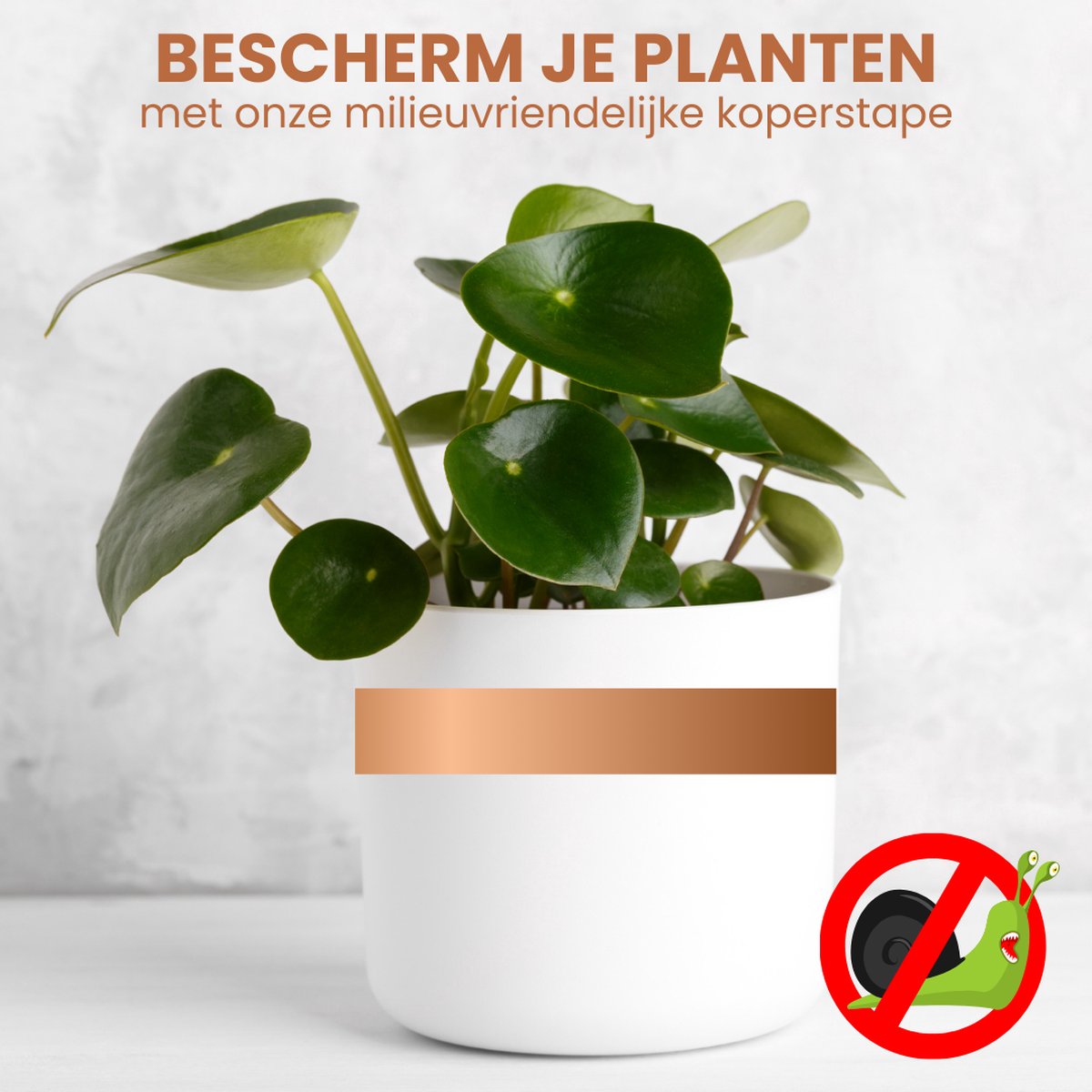 Witte plantenpot met koperen band als slakkenwering.
